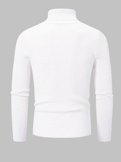 Men's Solid Color Striped Textured Turtleneck Sweater