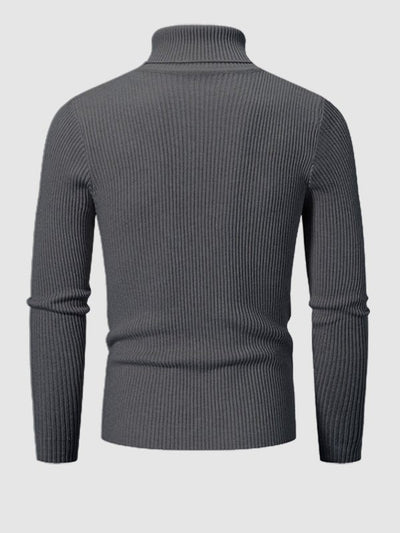 Men's Solid Color Striped Textured Turtleneck Sweater